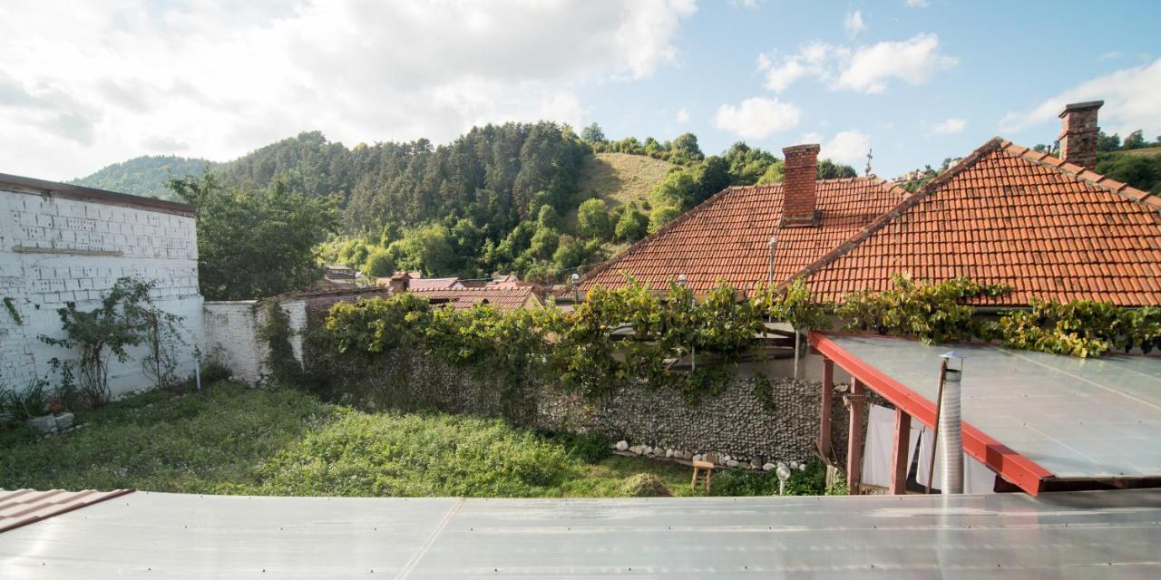 Hostel Transylvania *